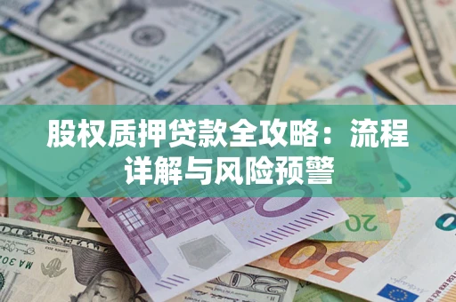 北京股权质押贷款全攻略：流程详解与风险预警