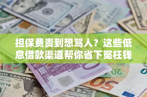 北京担保费贵到想骂人？这些低息借款渠道帮你省下冤枉钱