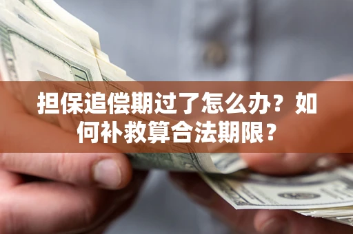 北京担保追偿期过了怎么办？如何补救算合法期限？