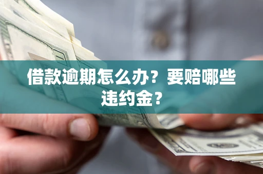 北京借款逾期怎么办？要赔哪些违约金？